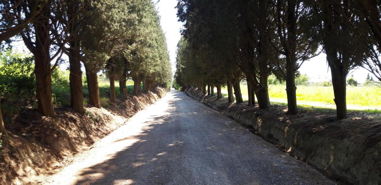 La Casa Della Pieve Vecchia Apartman Marmigliaio Kültér fotó