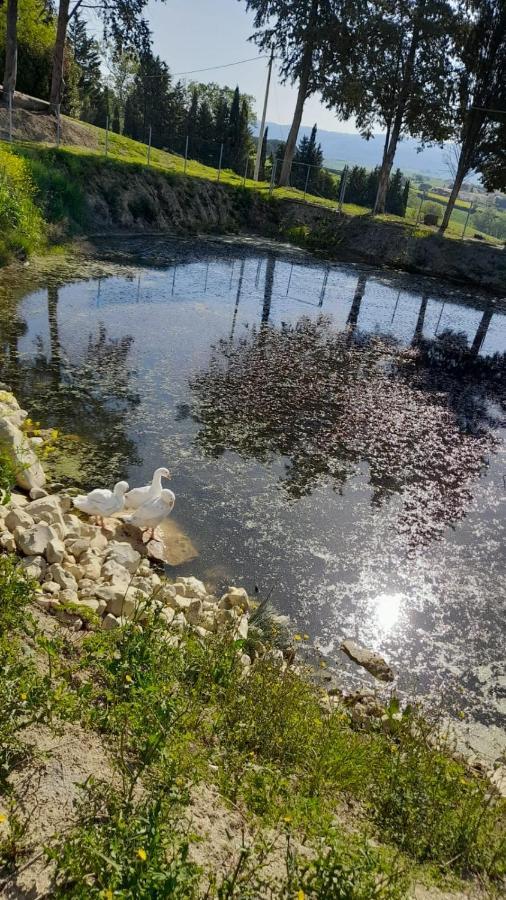 La Casa Della Pieve Vecchia Apartman Marmigliaio Kültér fotó